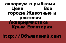 аквариум с рыбками › Цена ­ 15 000 - Все города Животные и растения » Аквариумистика   . Крым,Евпатория